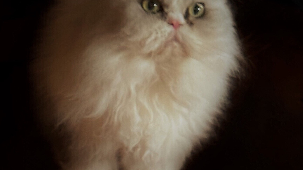 Photo of Others in Clinton Corners