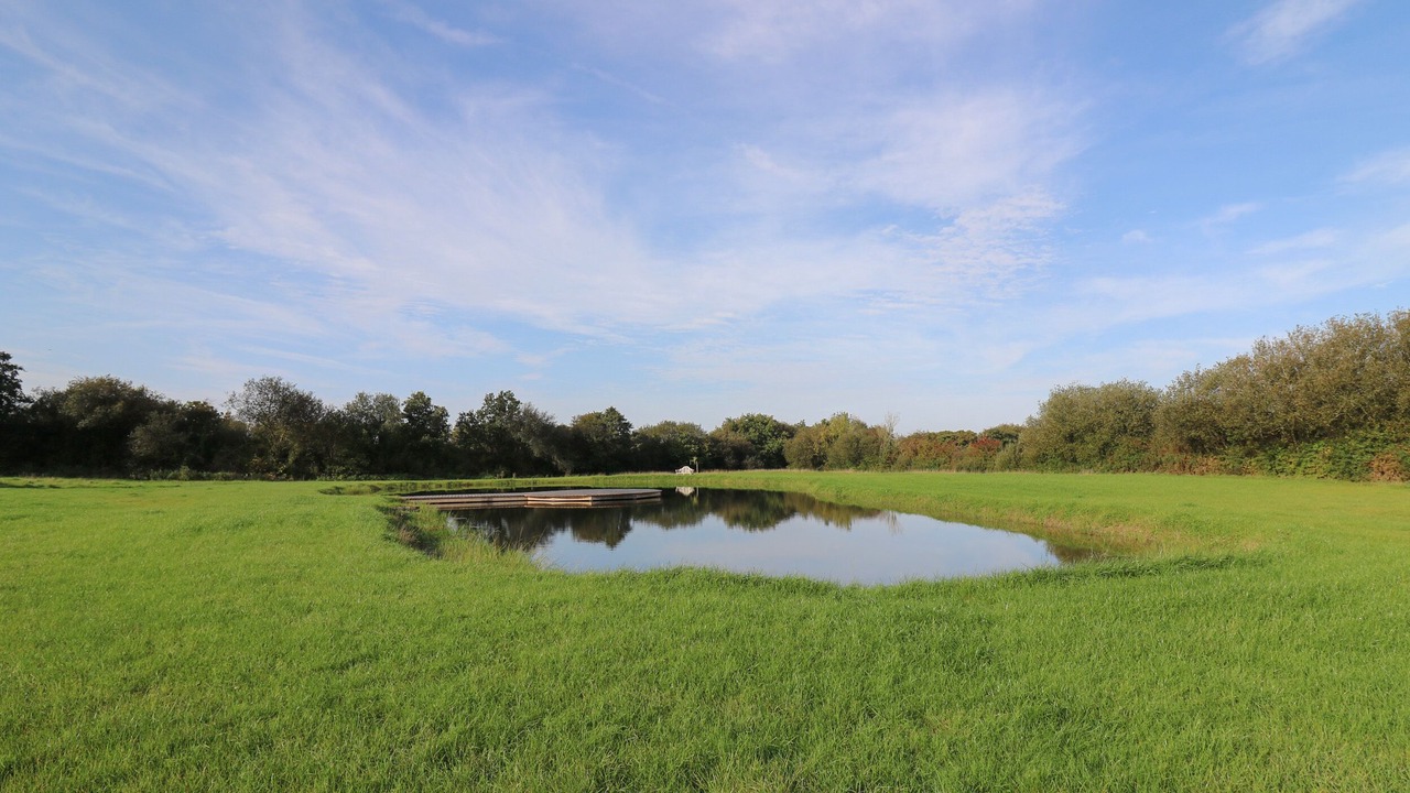 Photo of Others in Llanarth