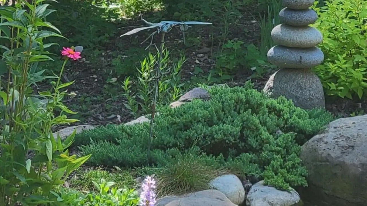 Photo of Outdoor in Takoma Park