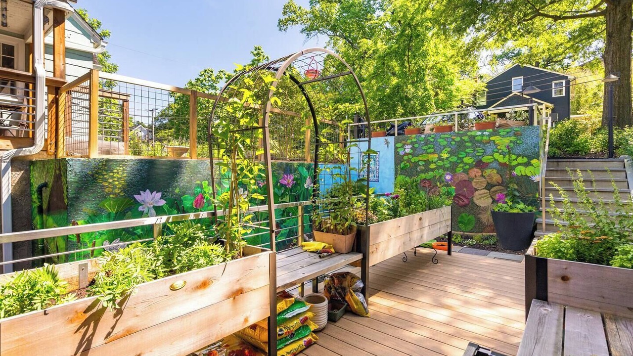 Photo of Outdoor in Takoma Park