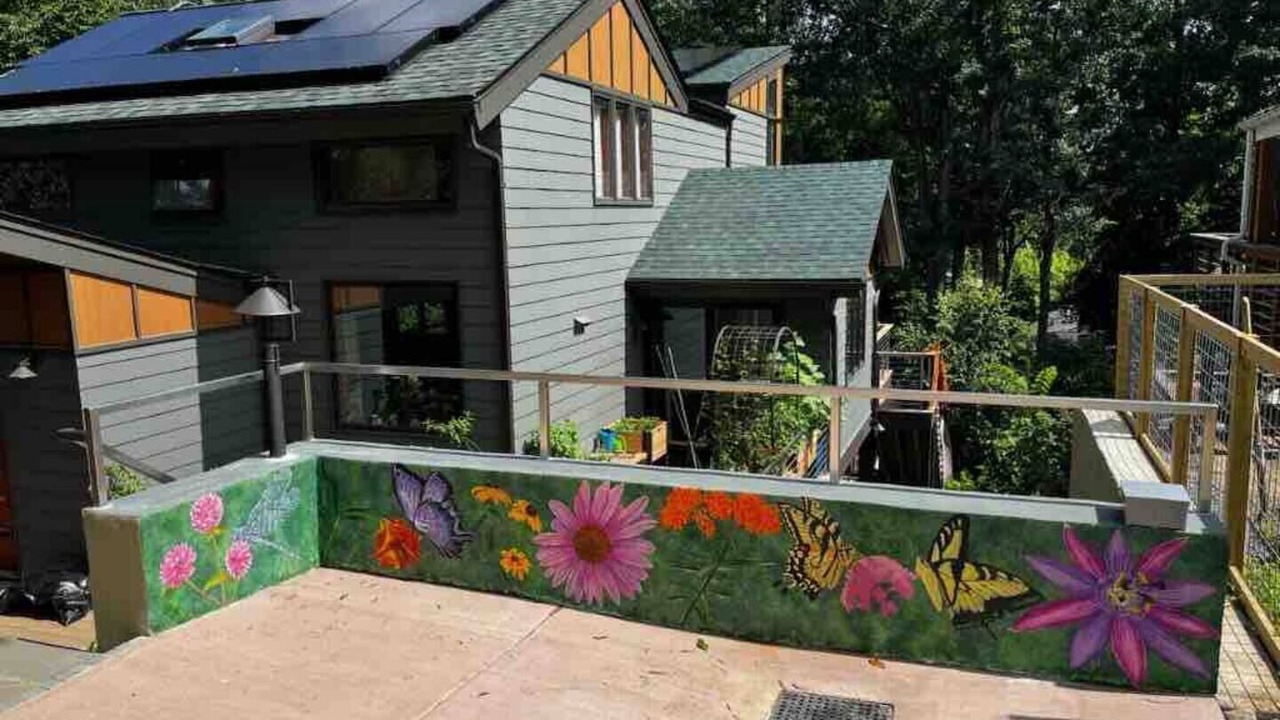 Photo of Outdoor in Takoma Park