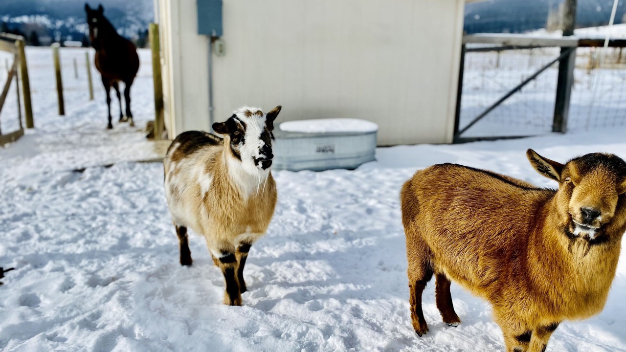 Photo of Others in Victor