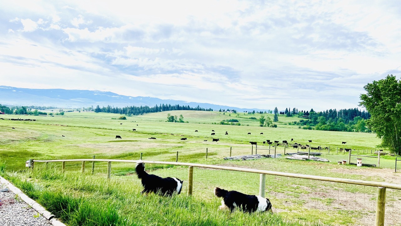 Photo of Others in Victor