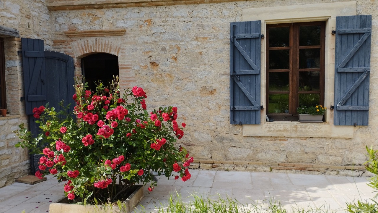 Photo of Outdoor in Puygaillard-de-Quercy
