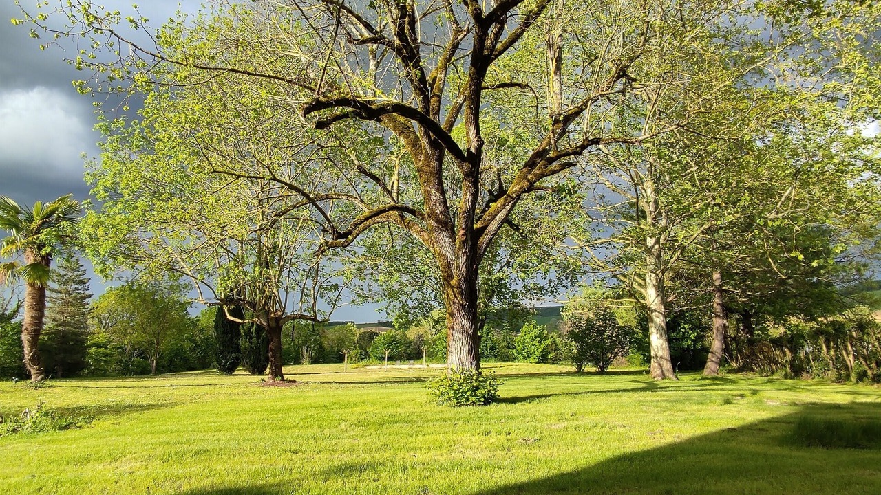 Photo of Outdoor in Puygaillard-de-Quercy