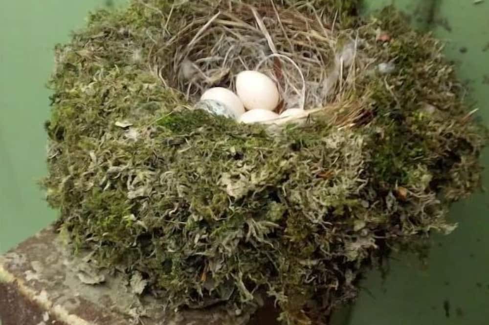 Photo of Others in Crittenden