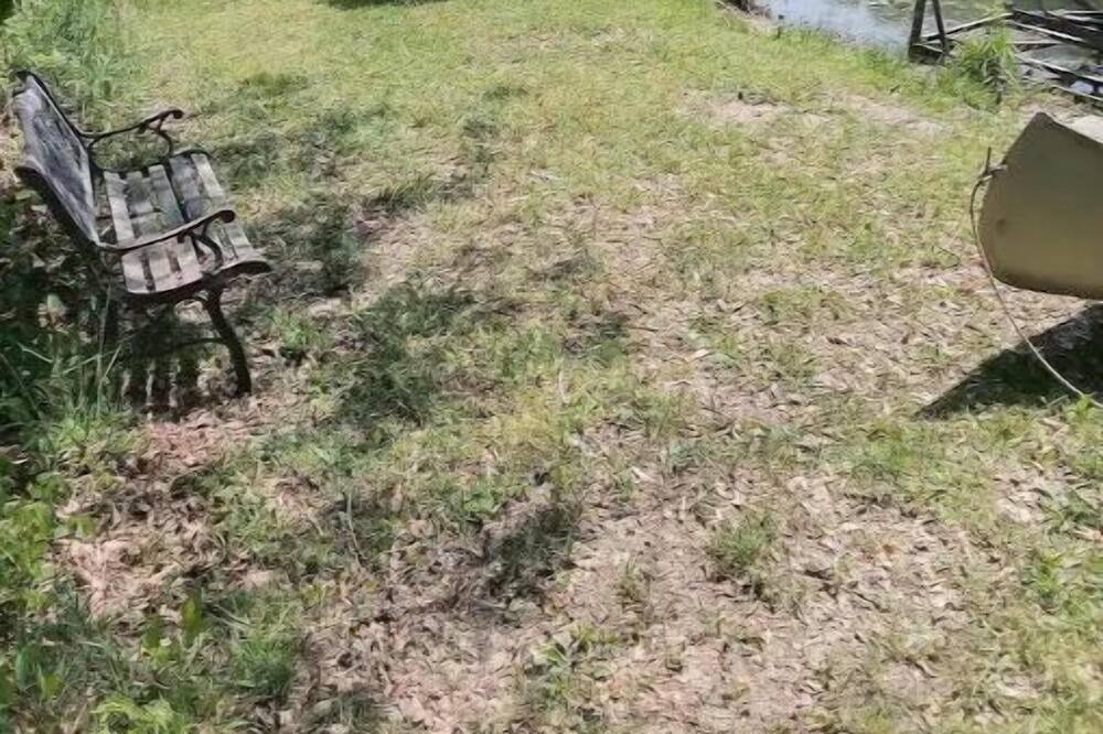 Photo of Outdoor in Crittenden