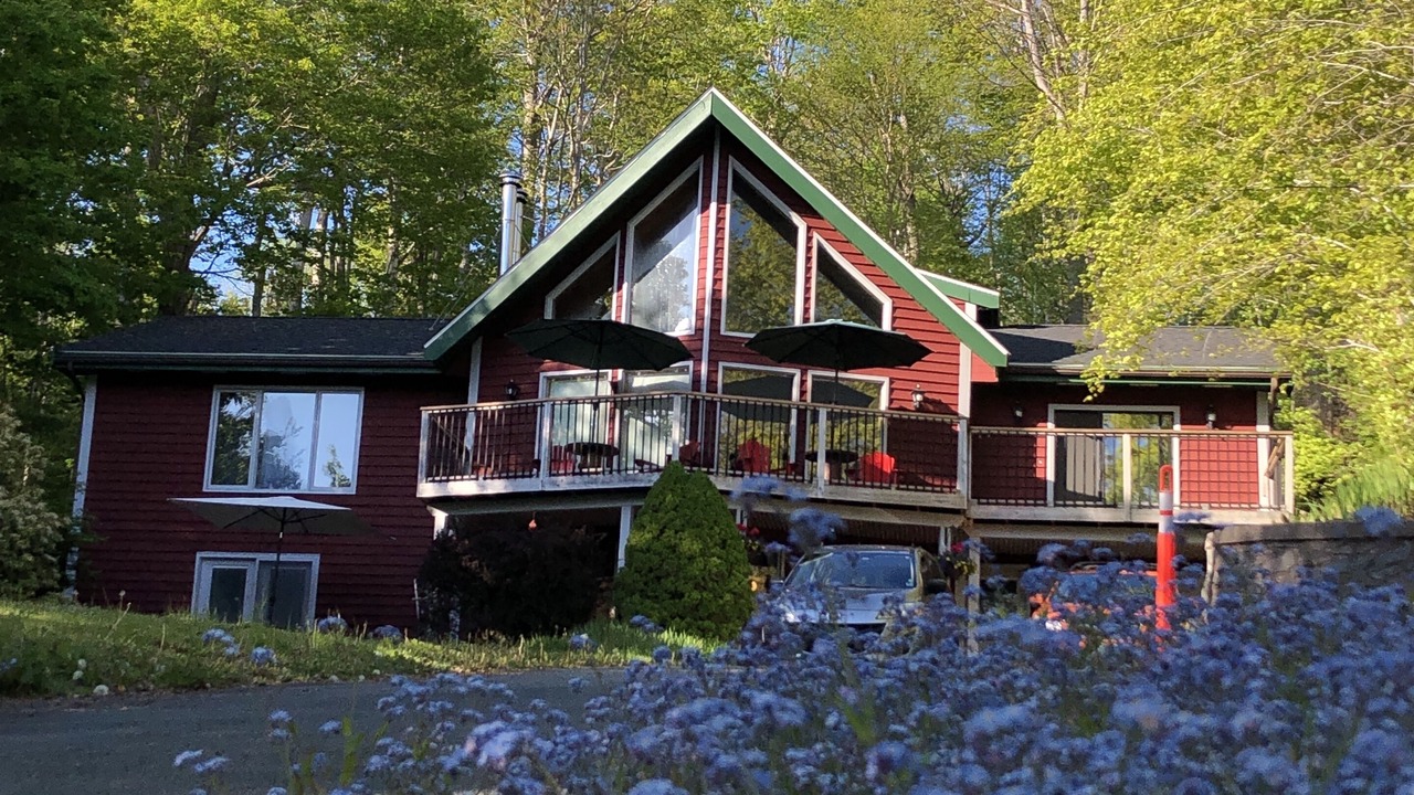 Photo of Outdoor in Waverley