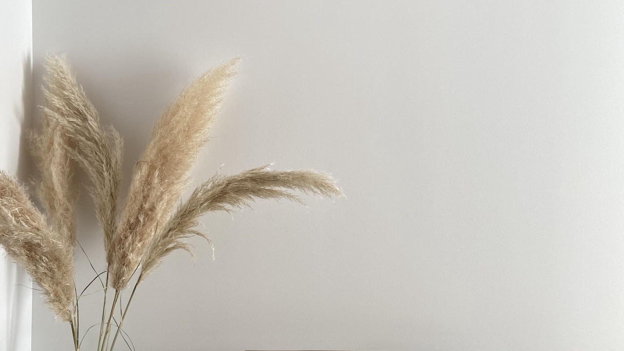 Photo of Others in Regnezville-sur-Mer