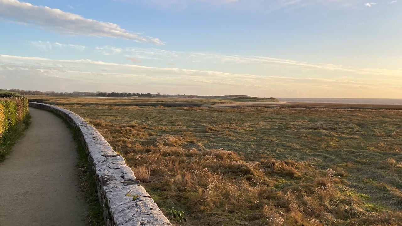 Photo of Others in Regnezville-sur-Mer