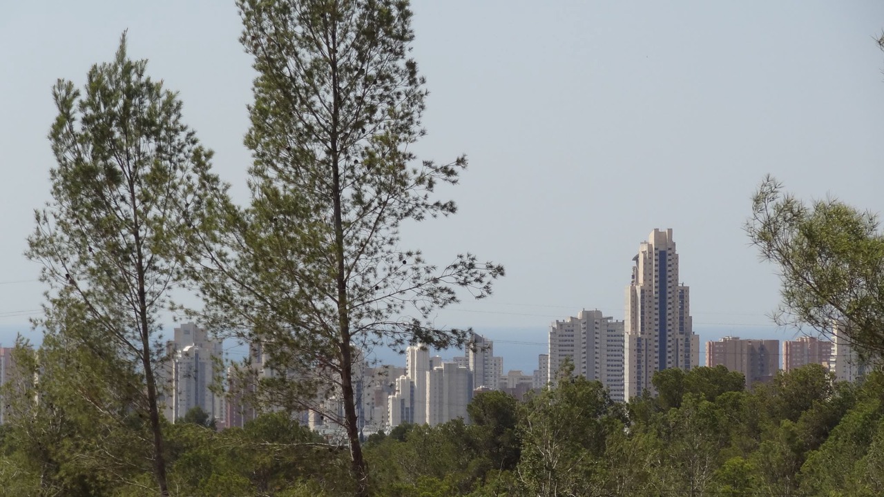 Photo of Outdoor in Puerta de Hierro