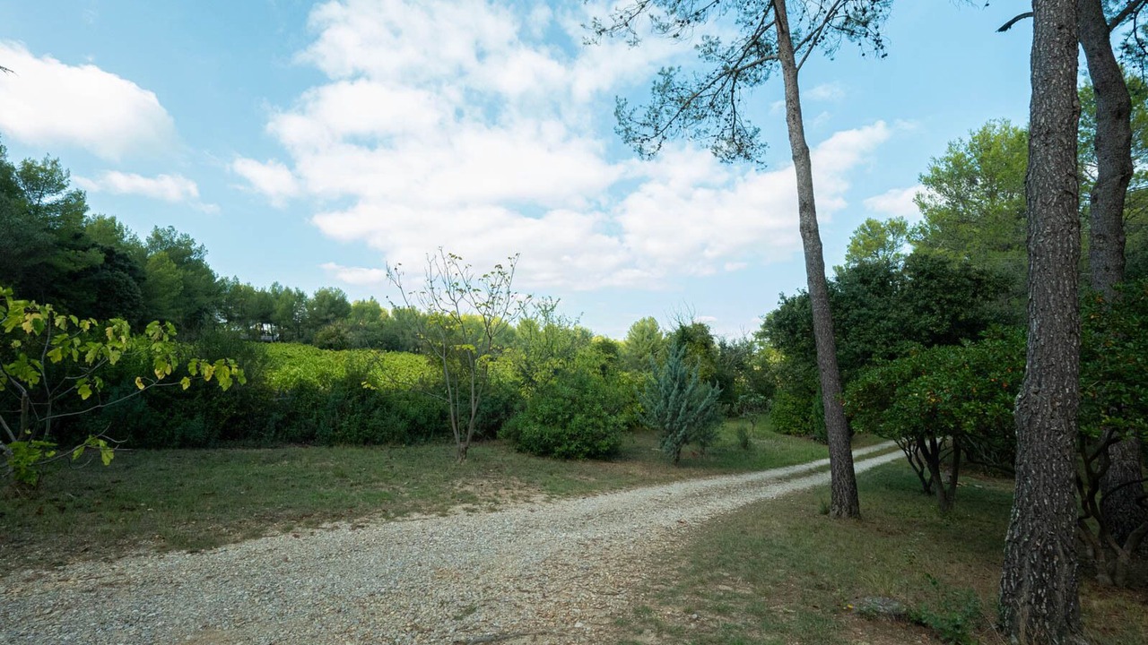 Photo of Outdoor in Saint-Clement-de-Riviere