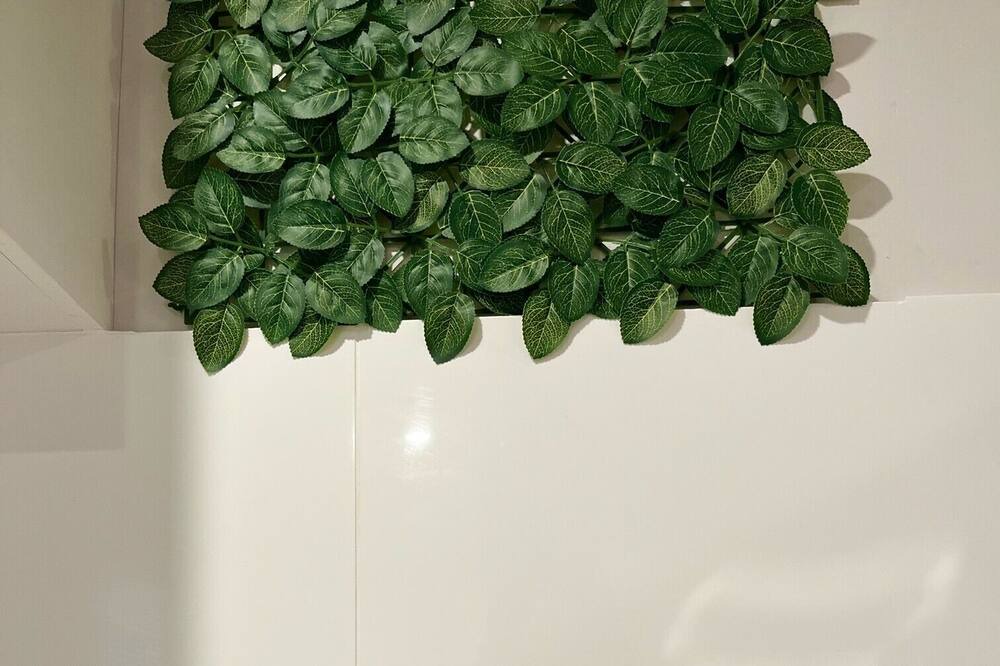 Photo of Others in Mayfield