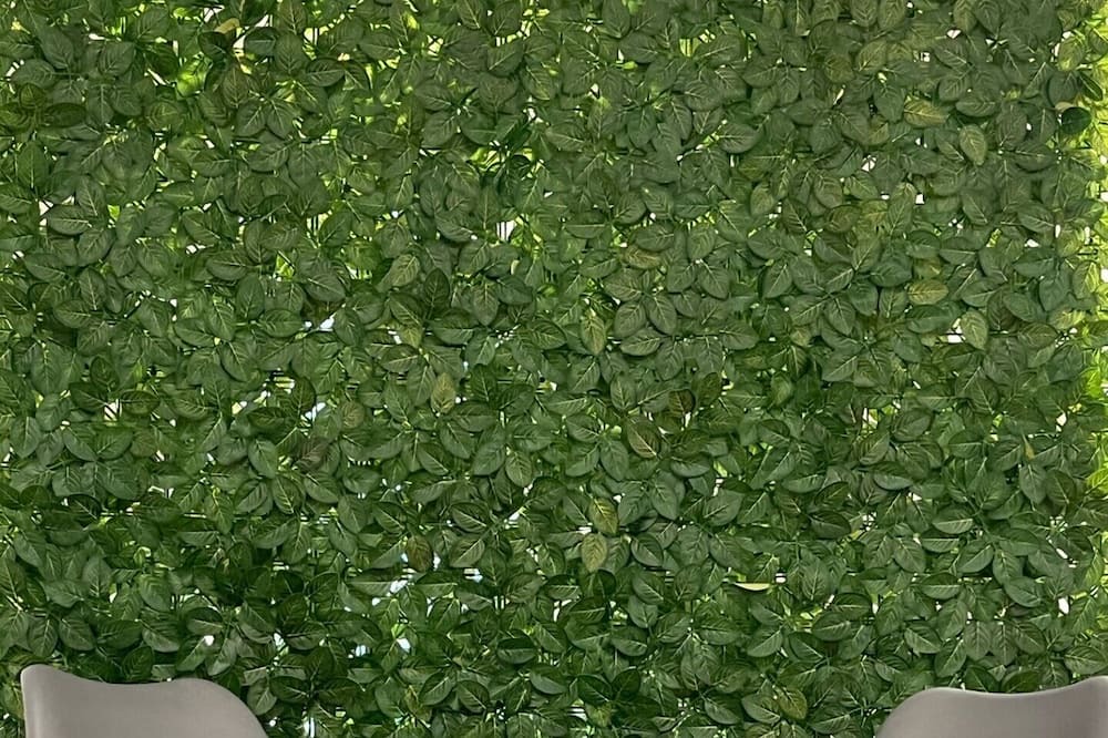 Photo of Outdoor in Mayfield