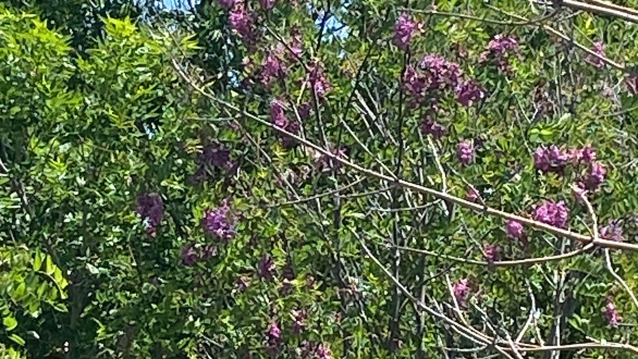 Photo of Outdoor in Worland