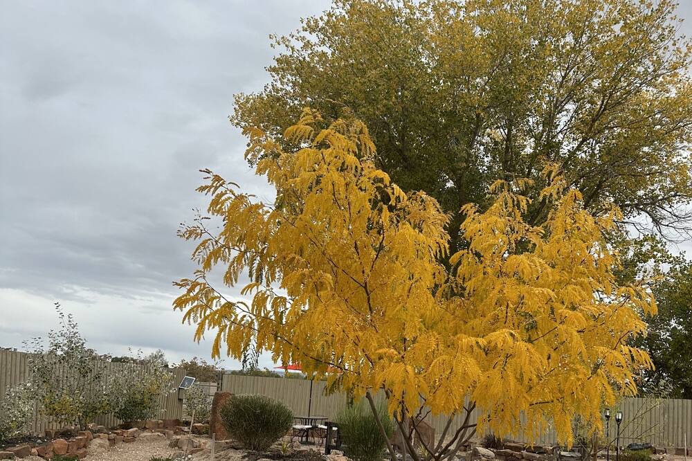 Photo of Outdoor in Espanola