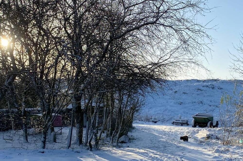 Photo of Others in Wing