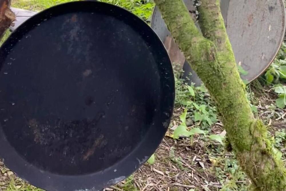 Photo of Others in Wing