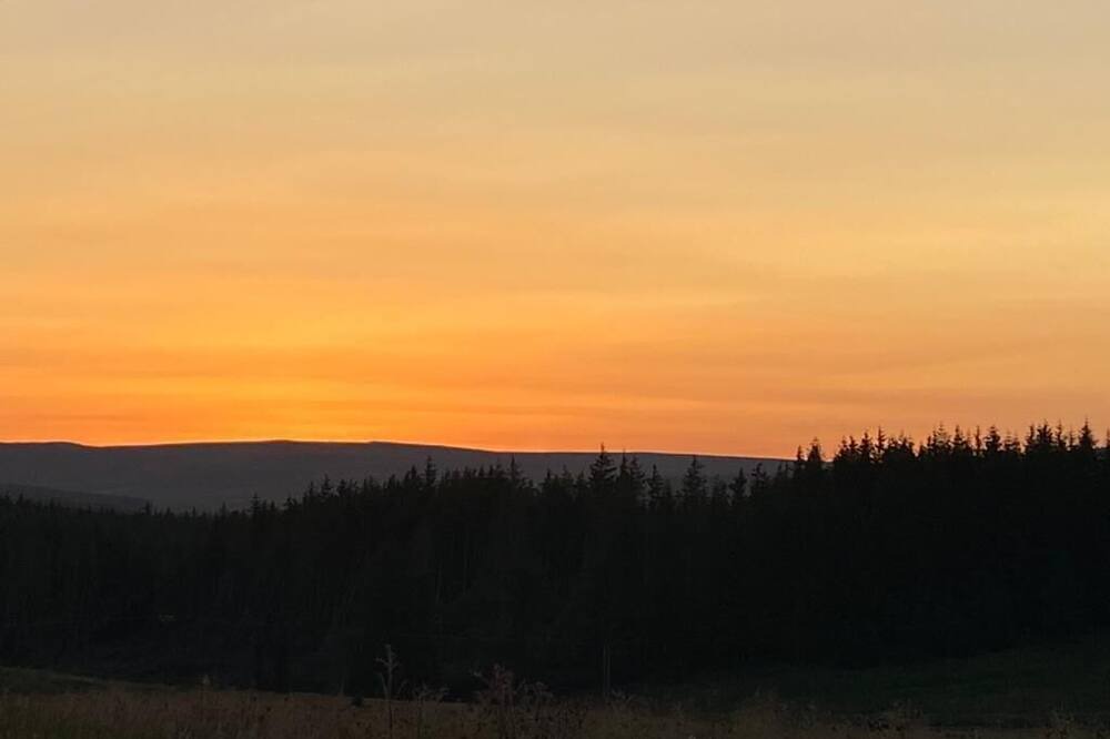 Photo of Others in Wing