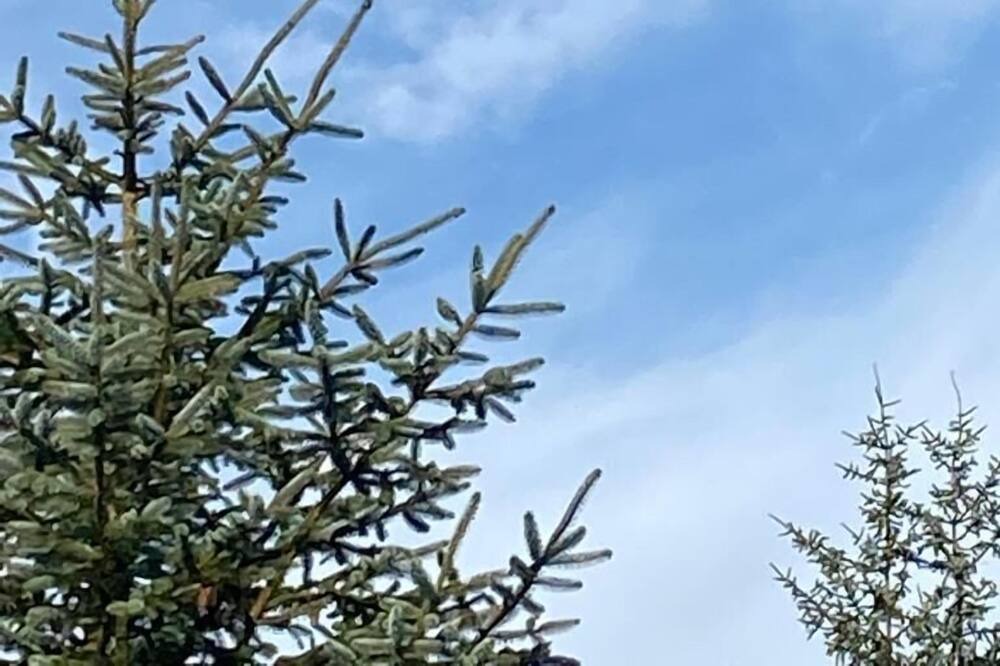 Photo of Others in Wing