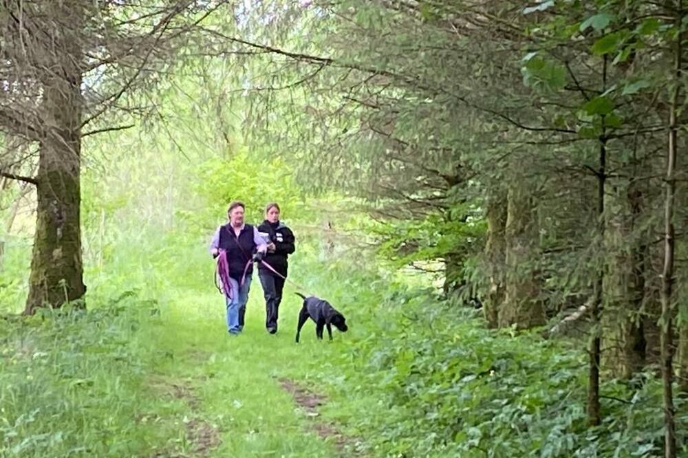 Photo of Others in Wing