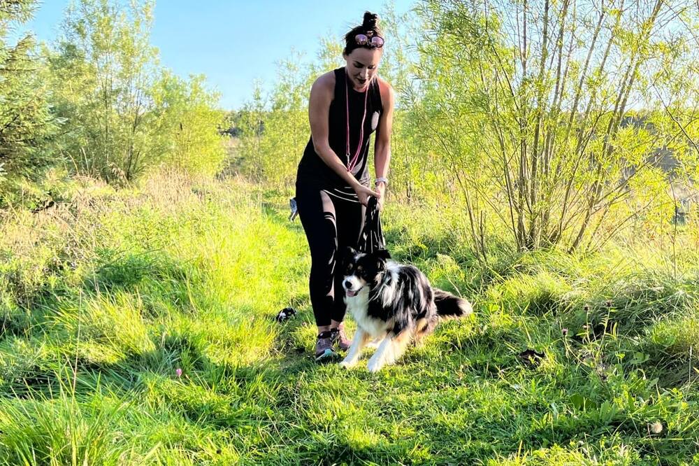 Photo of Others in Wing