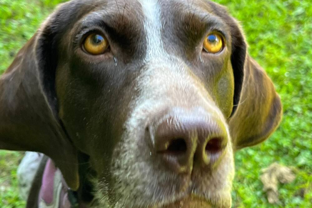 Photo of Others in Wing