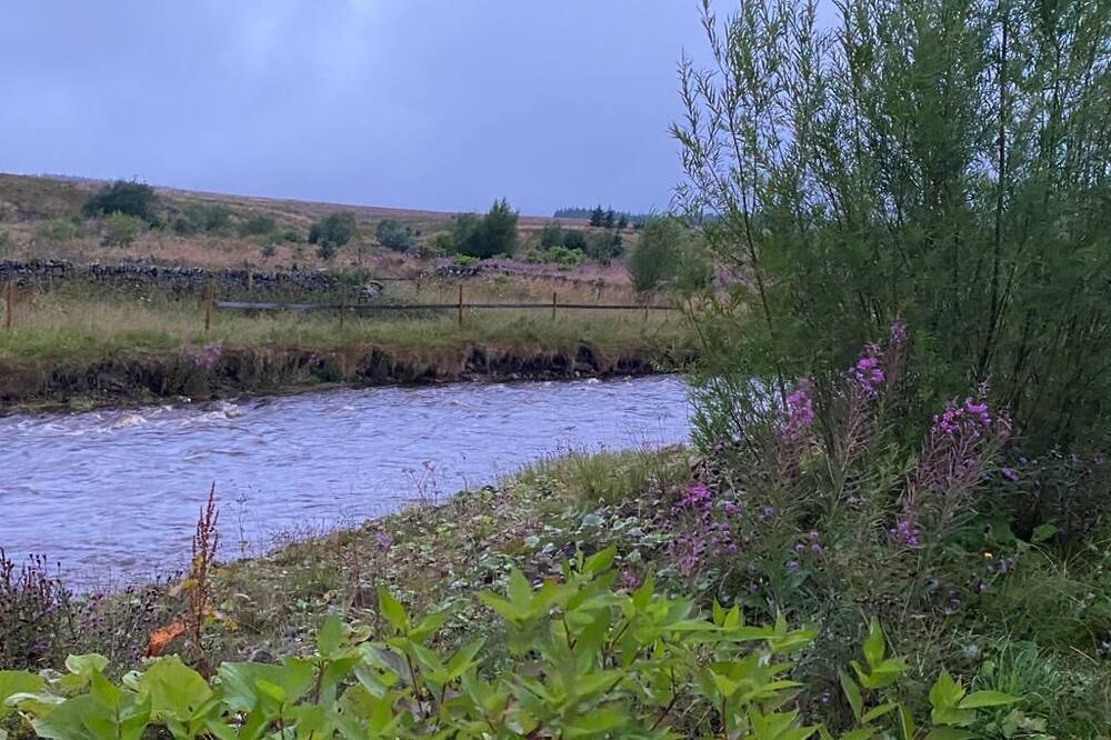 Photo of Others in Wing