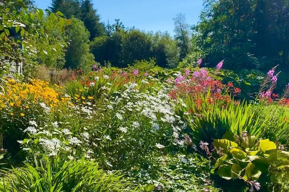 Photo of Others in Wing