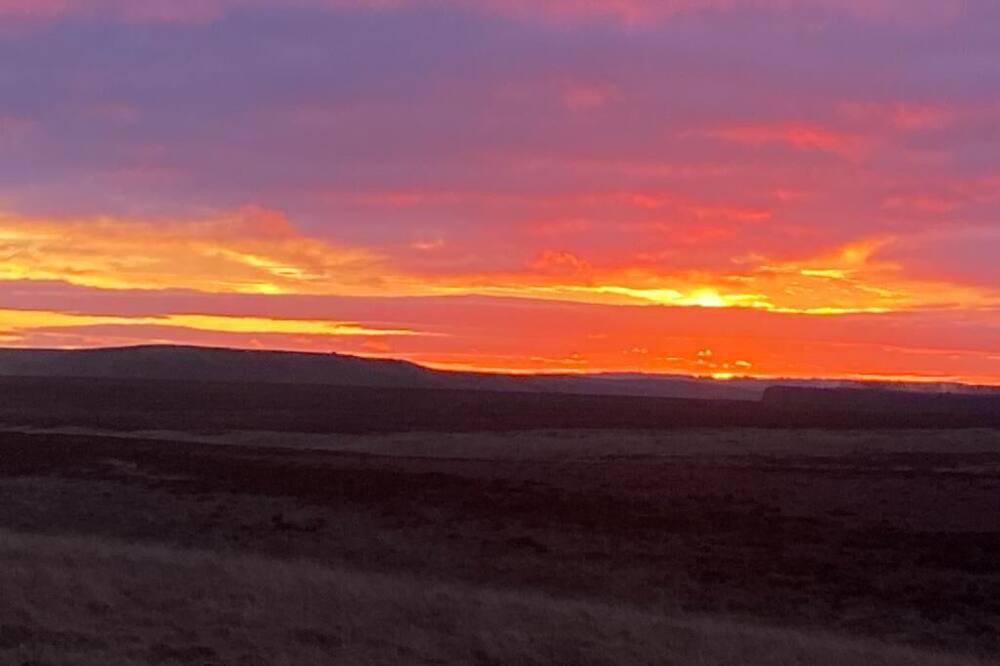 Photo of Others in Wing