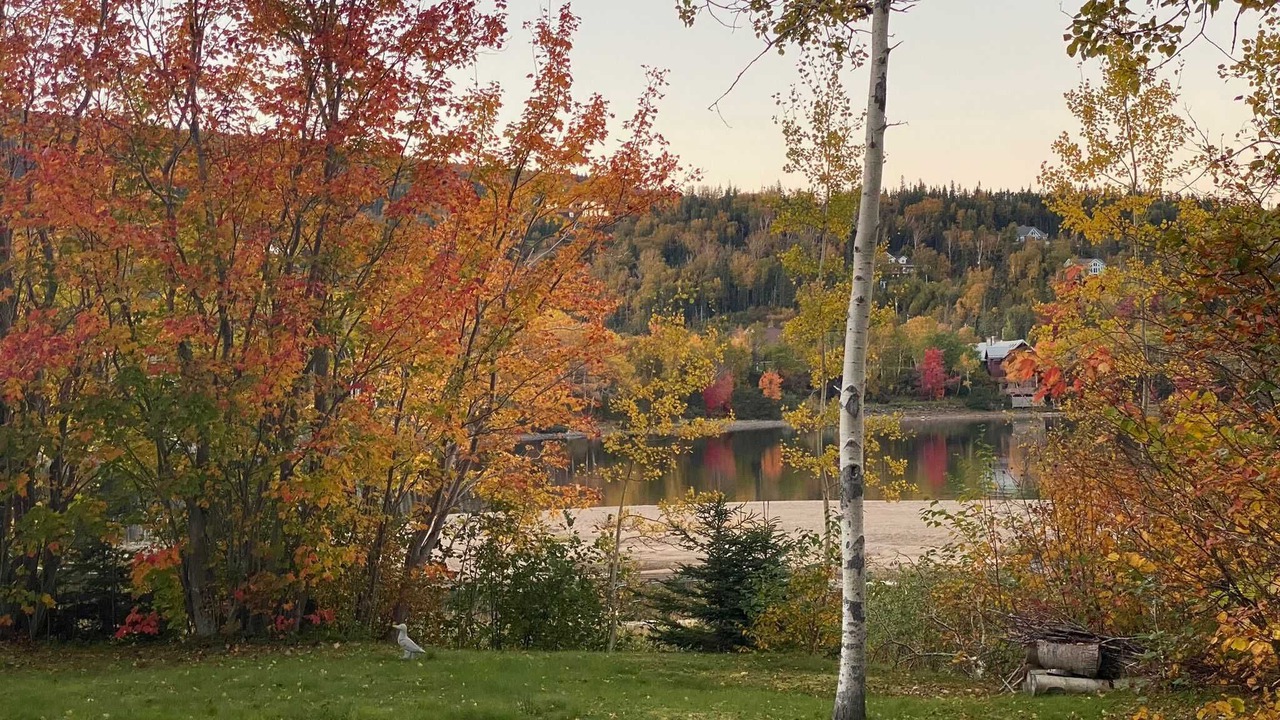 Photo of Others in Pasadena