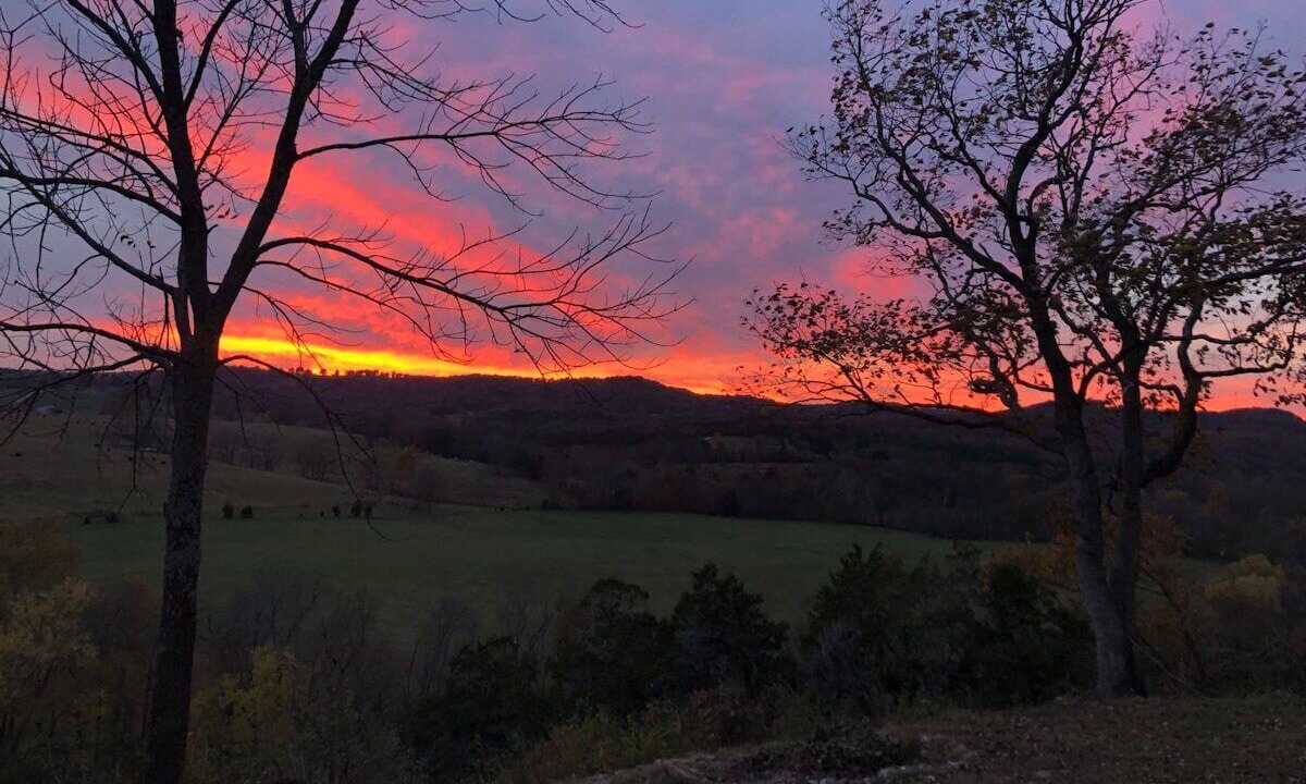 Photo of Outdoor in Berryville