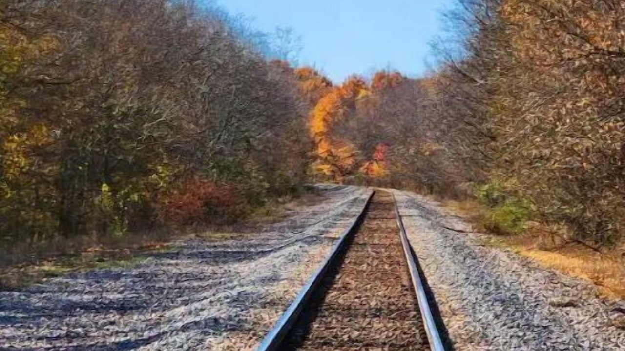 Photo of Others in Durant