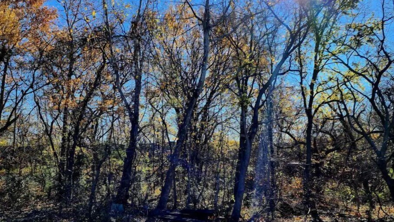 Photo of Outdoor in Durant