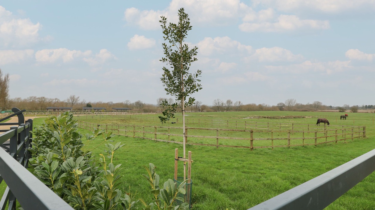 Photo of Others in Newark