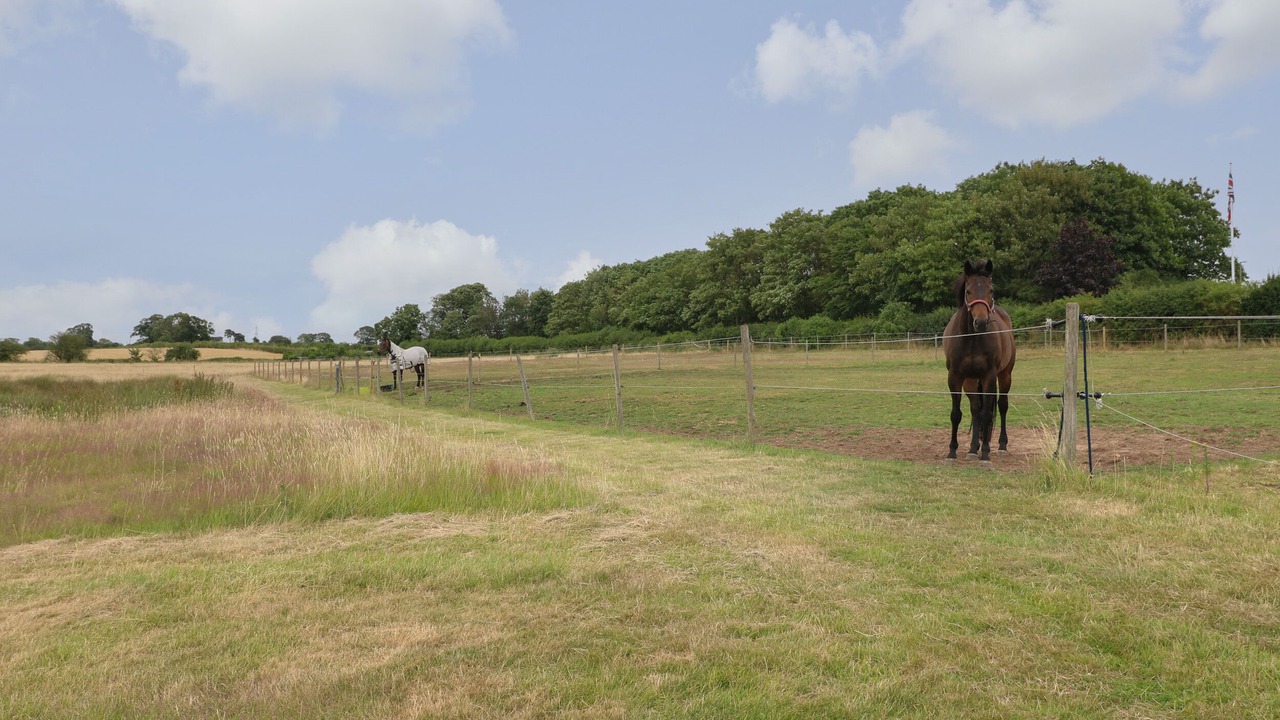 Photo of Others in Newark