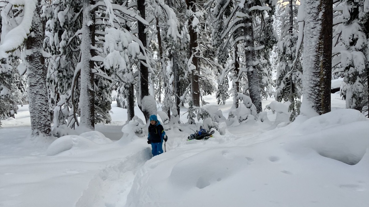Photo of Others in Alta