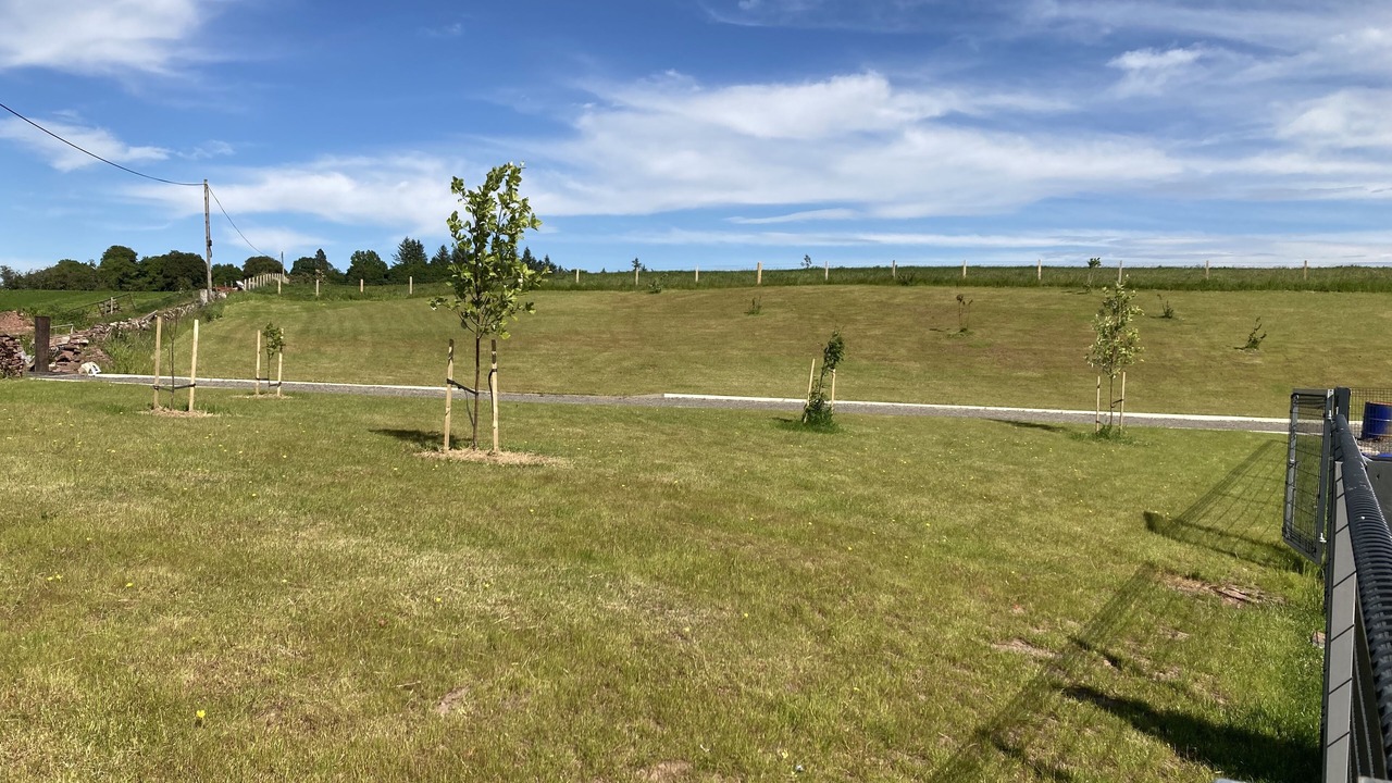 Photo of Outdoor in Alexandria