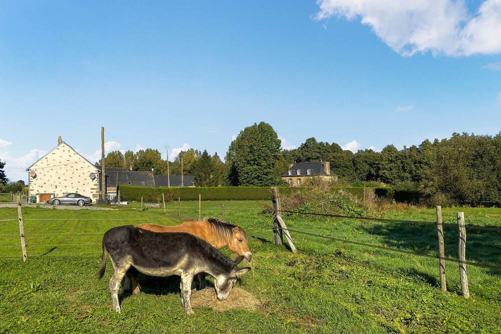 Photo of Others in La Boussac