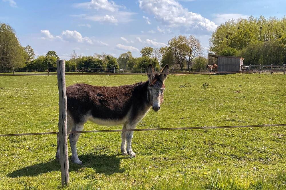 Photo of Others in La Boussac