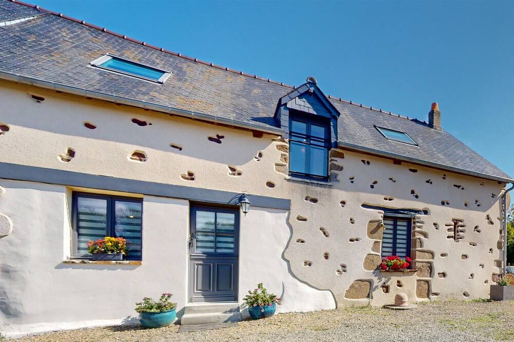 Photo of Outdoor in La Boussac