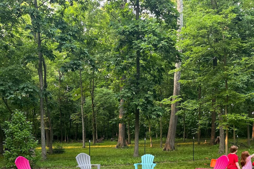 Photo of Outdoor in New Carlisle