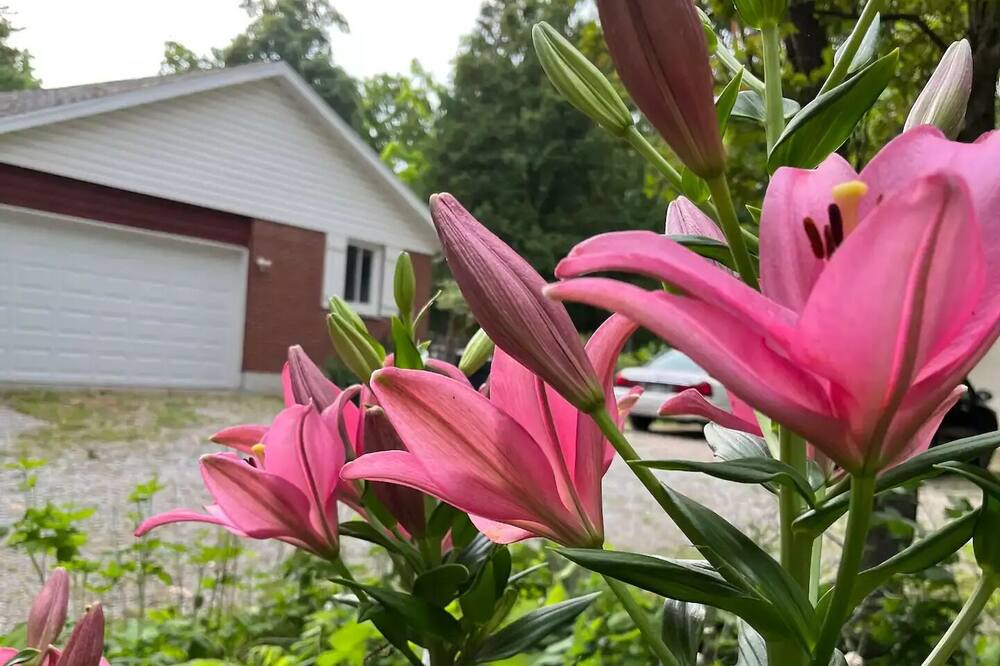 Photo of Outdoor in New Carlisle