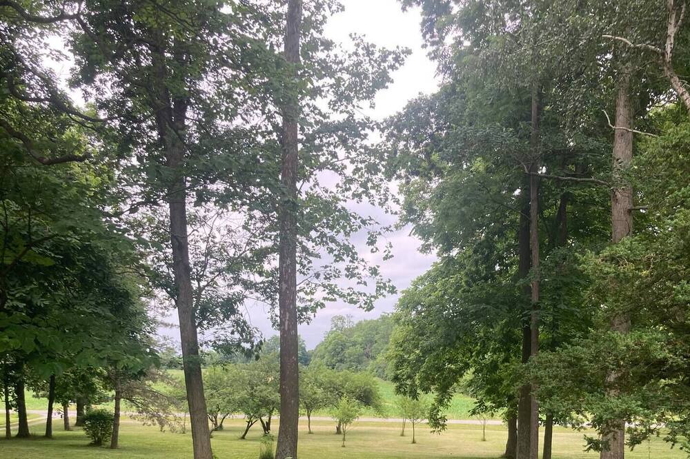 Photo of Outdoor in New Carlisle