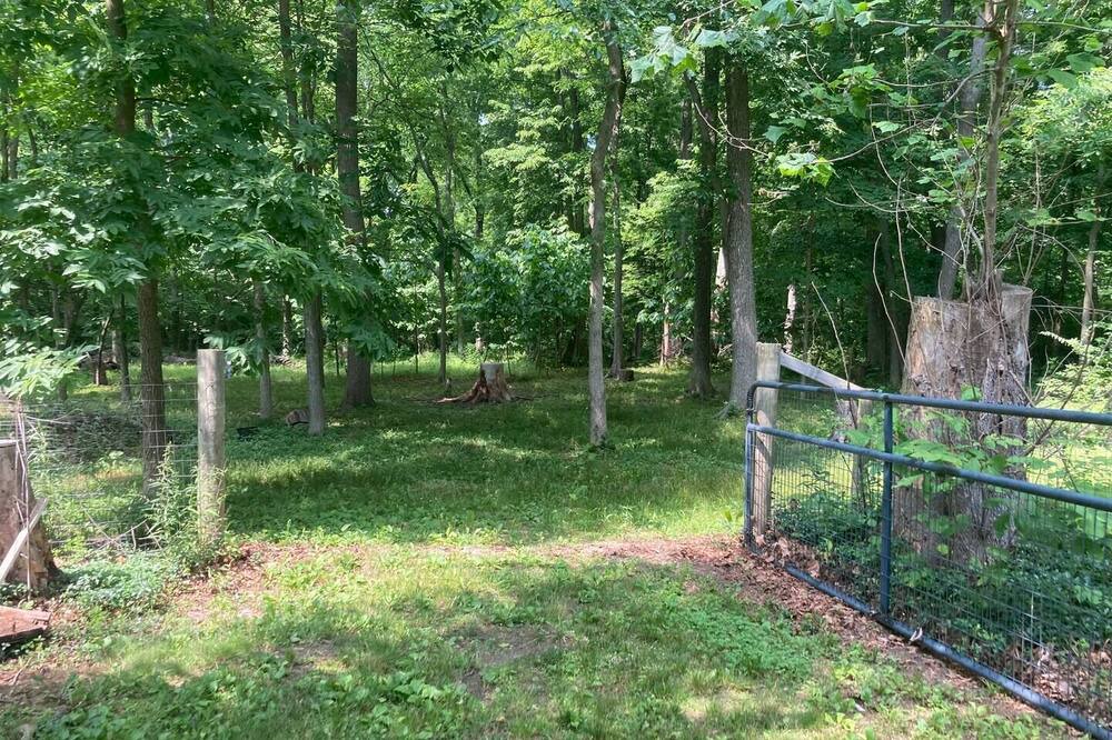 Photo of Outdoor in New Carlisle