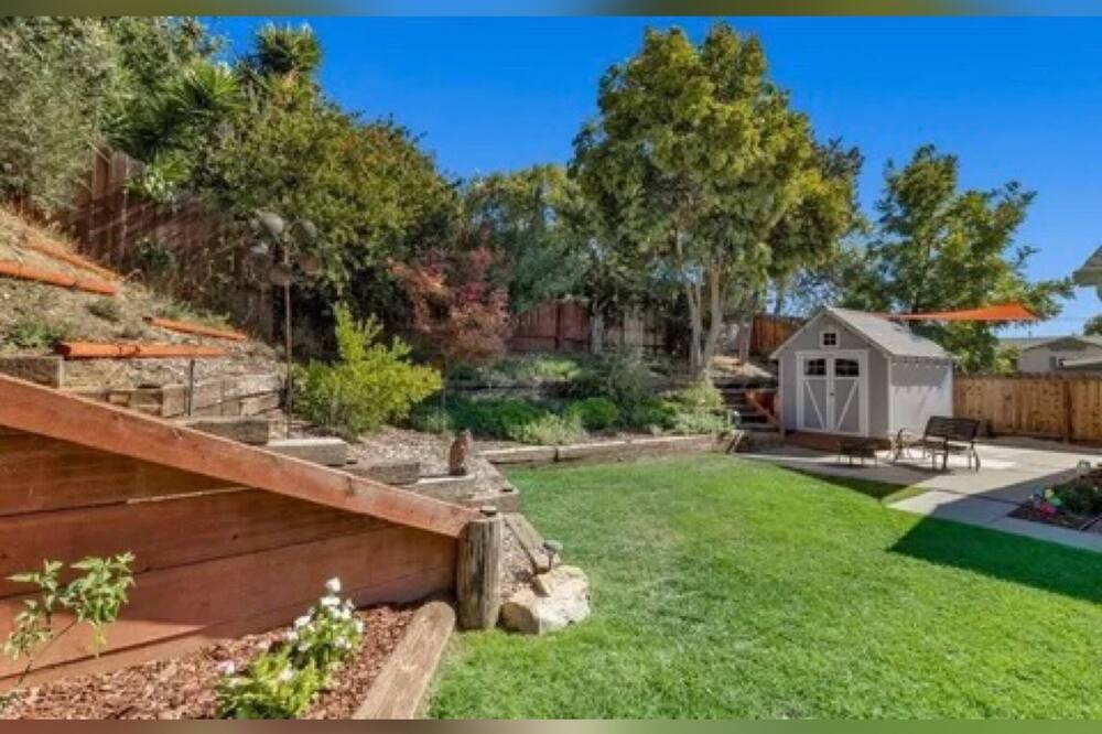 Photo of Outdoor in Vine Hill