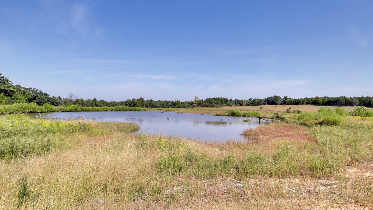 Photo of Others in Grubville