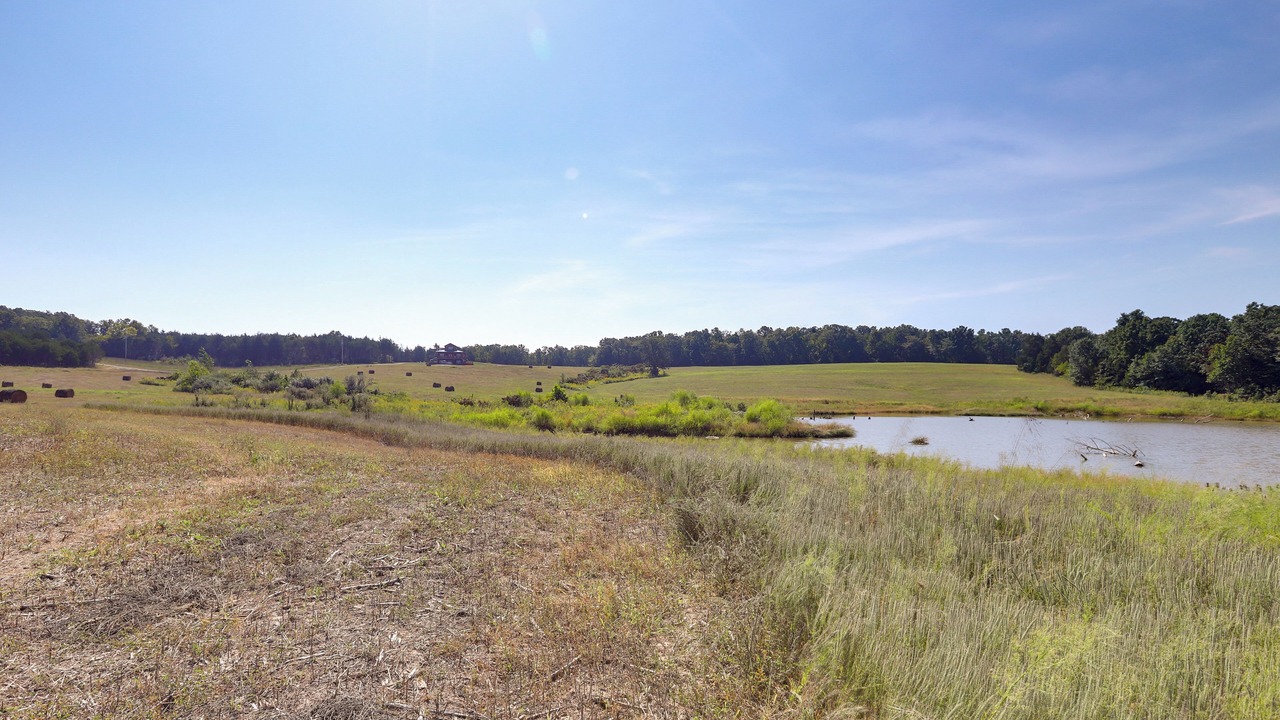 Photo of Others in Grubville