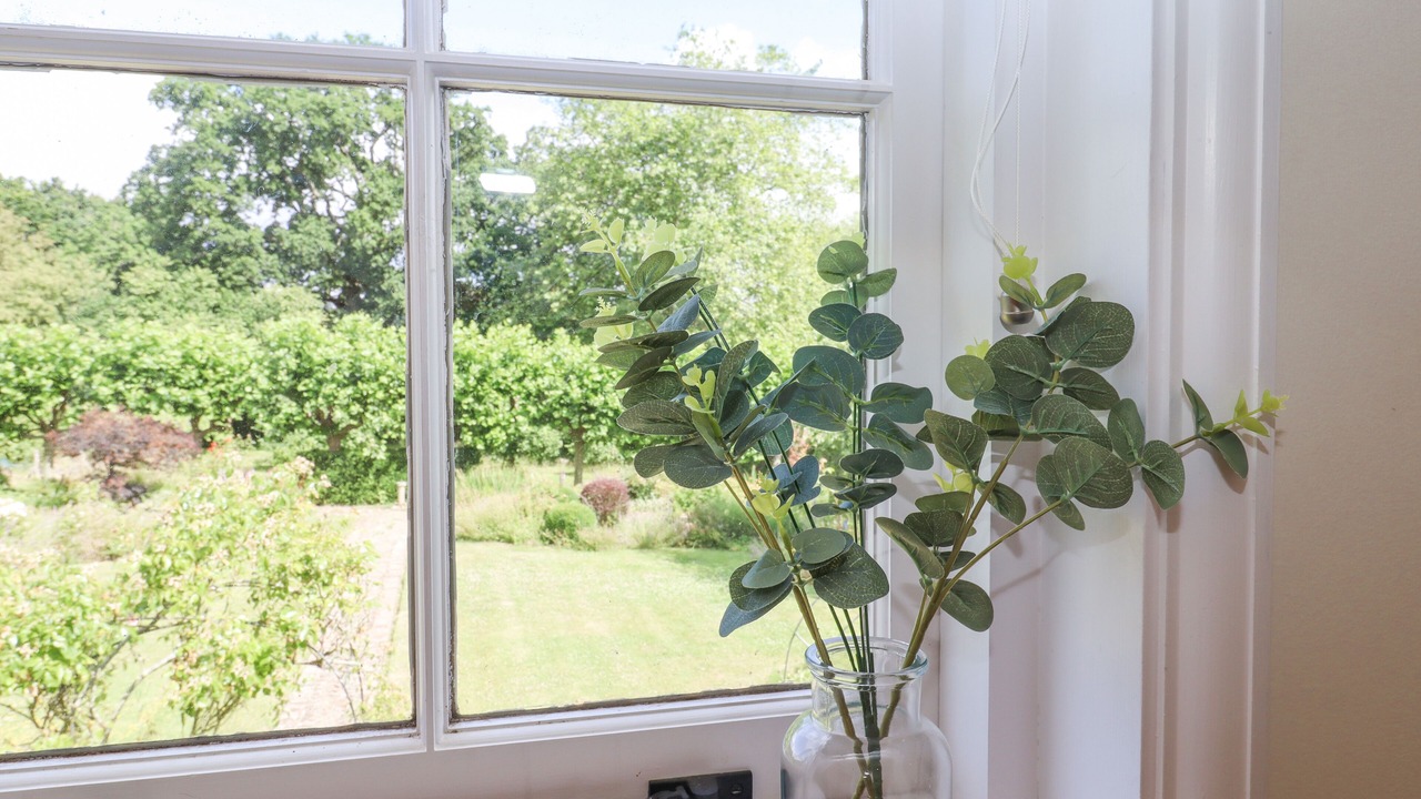 Photo of Others in Wavehorne