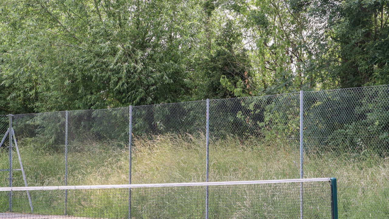 Photo of Others in Wavehorne